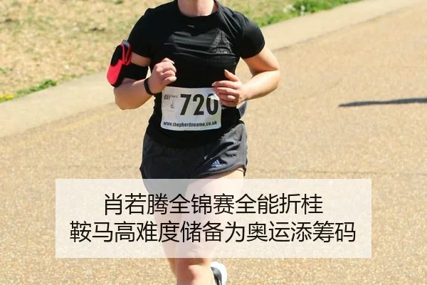 肖若腾全锦赛全能折桂 鞍马高难度储备为奥运添筹码