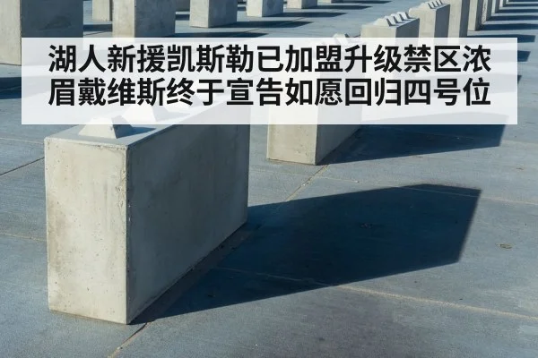 湖人新援凯斯勒已加盟升级禁区浓眉戴维斯终于宣告如愿回归四号位